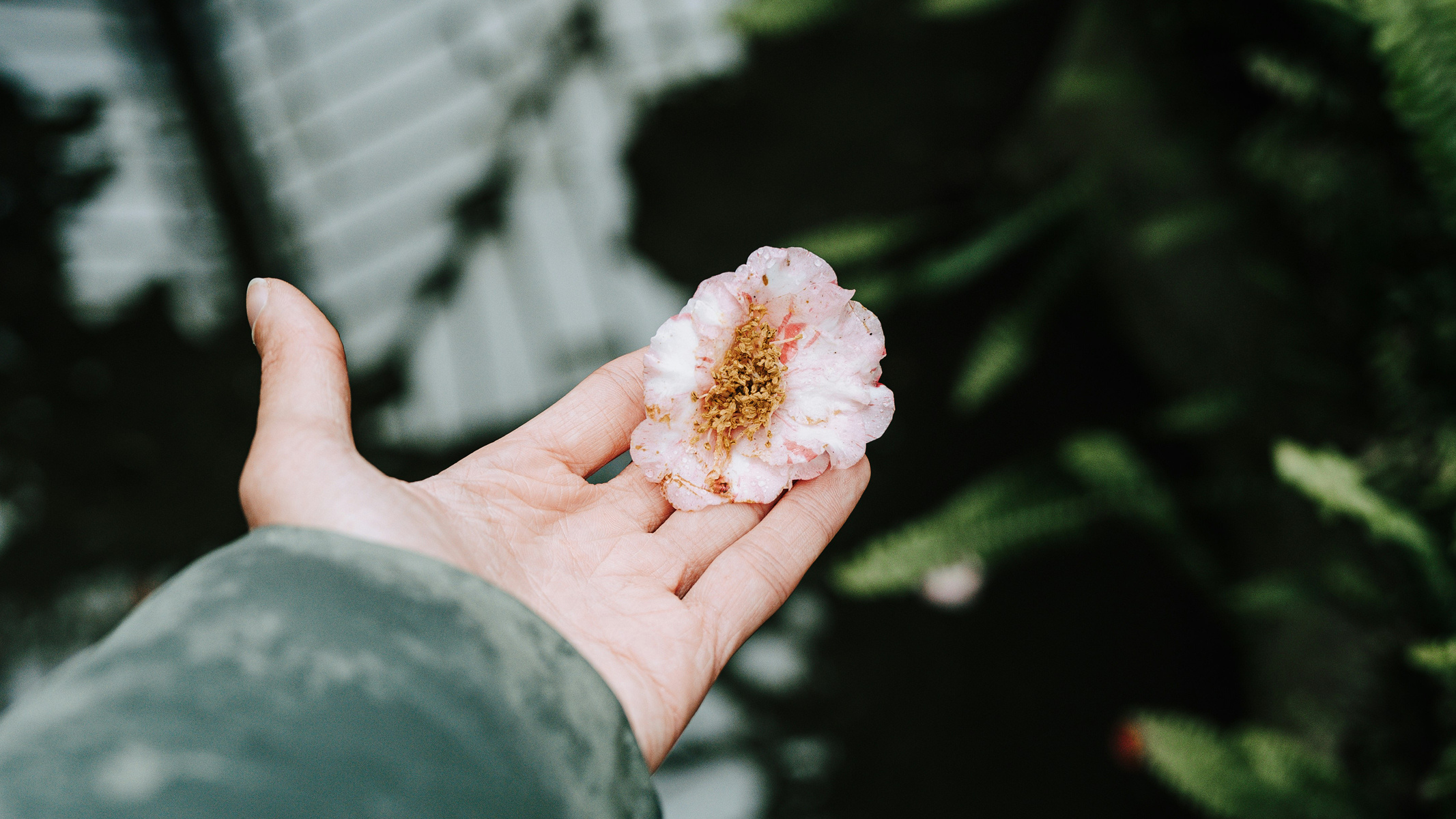 Grief and Loss Therapy
